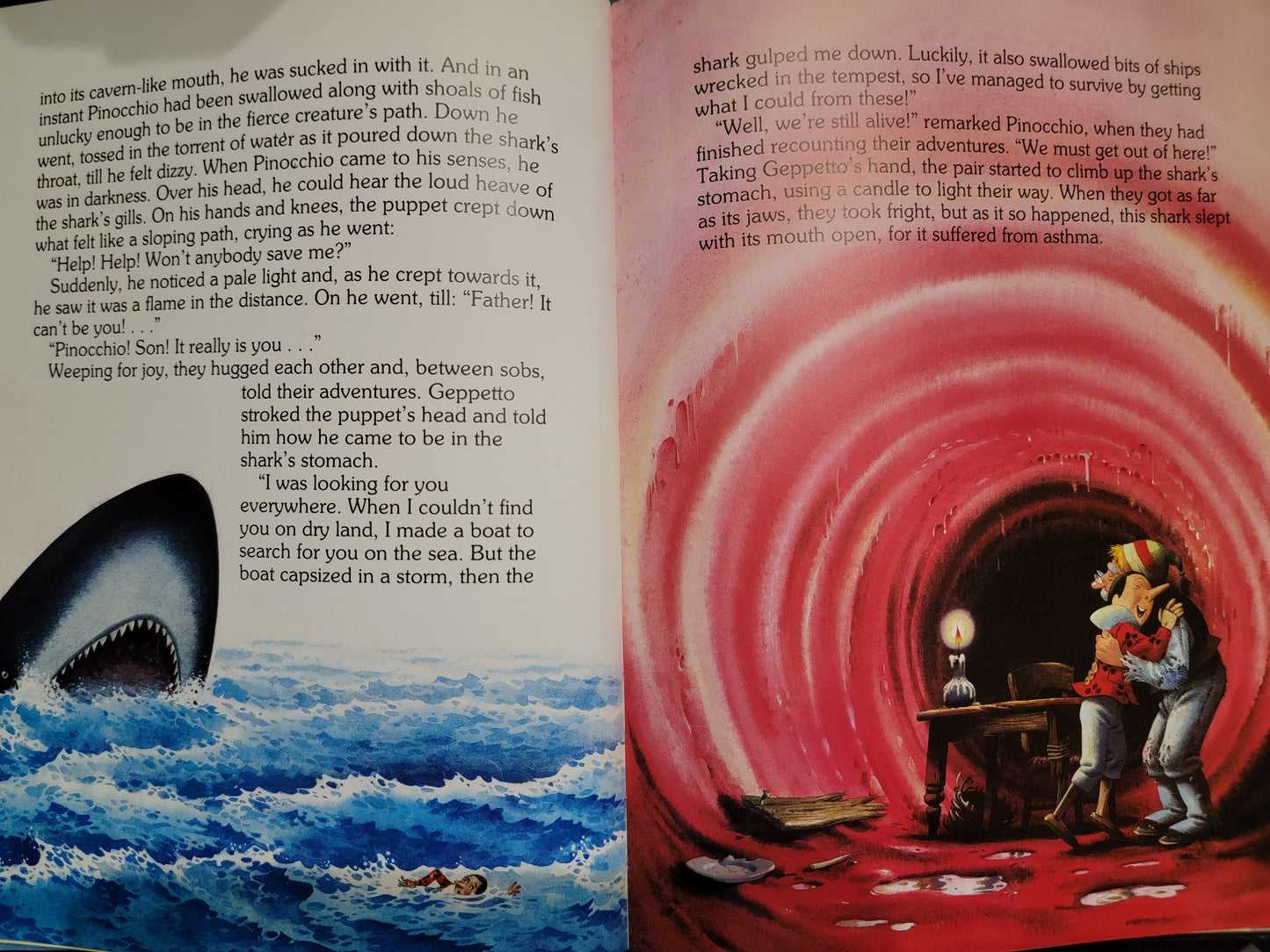 Vintage Story of Pinocchio and Other Tales by Tony Wolf and Peter Holeinone Book
Printed in Italy