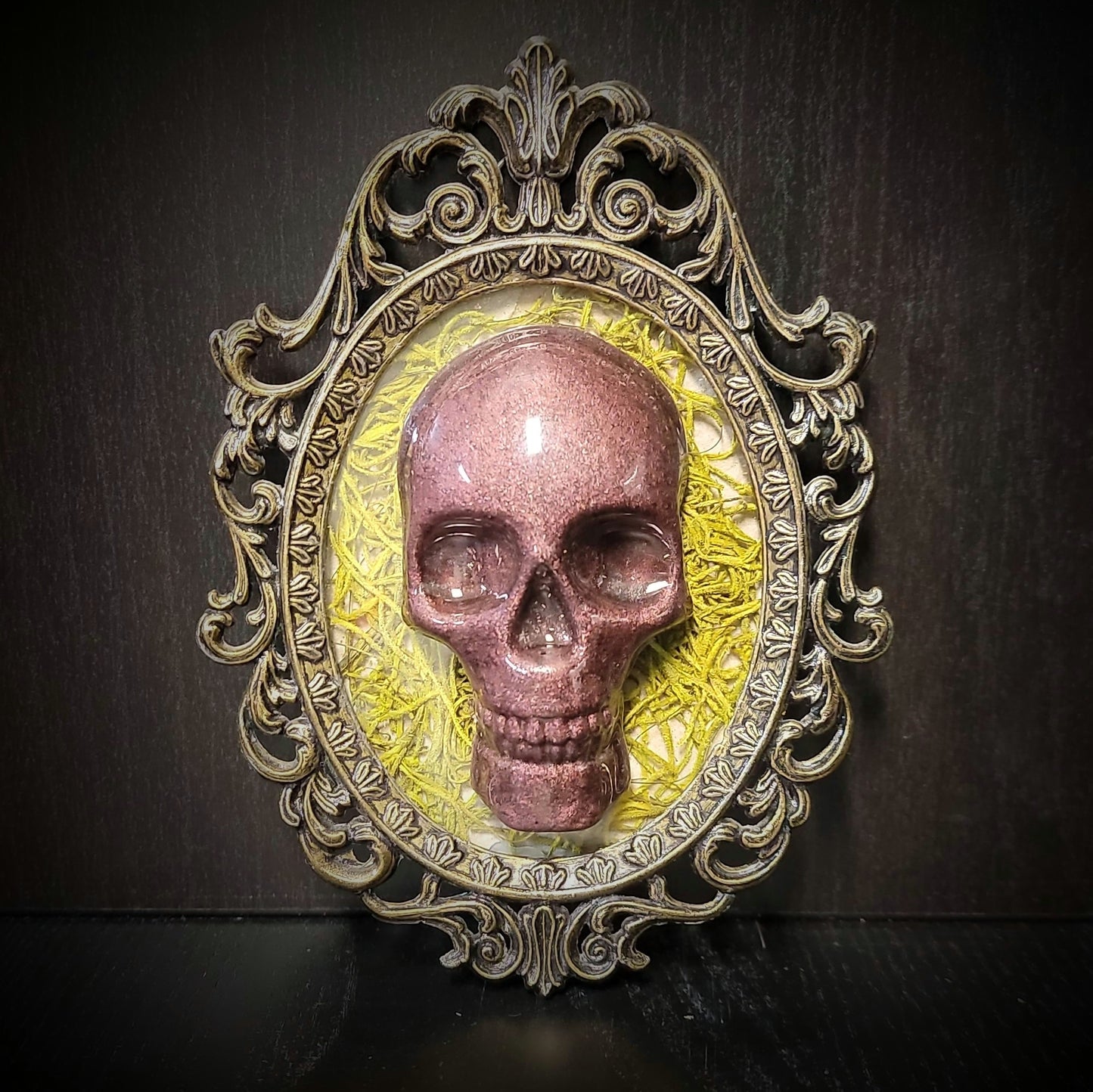 Handmade Resin Skull in Vintage Frame