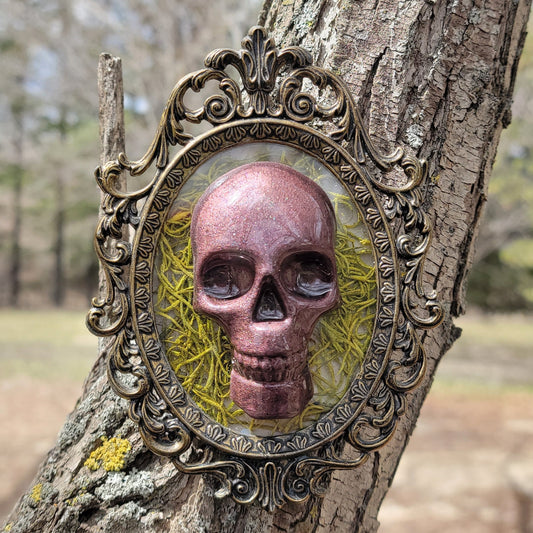 Handmade Resin Skull in Vintage Frame