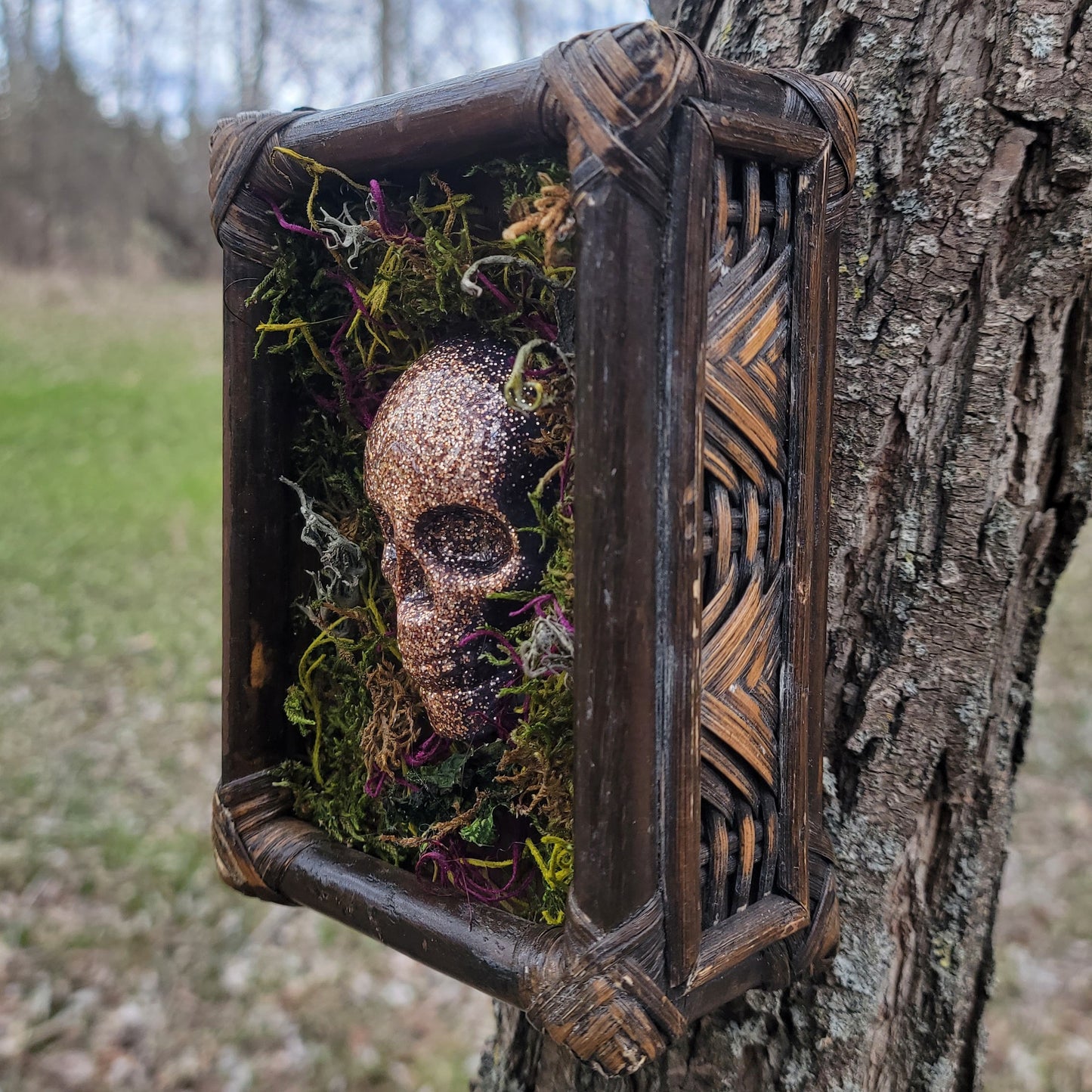 Handmade Resin Skull in Vintage Box