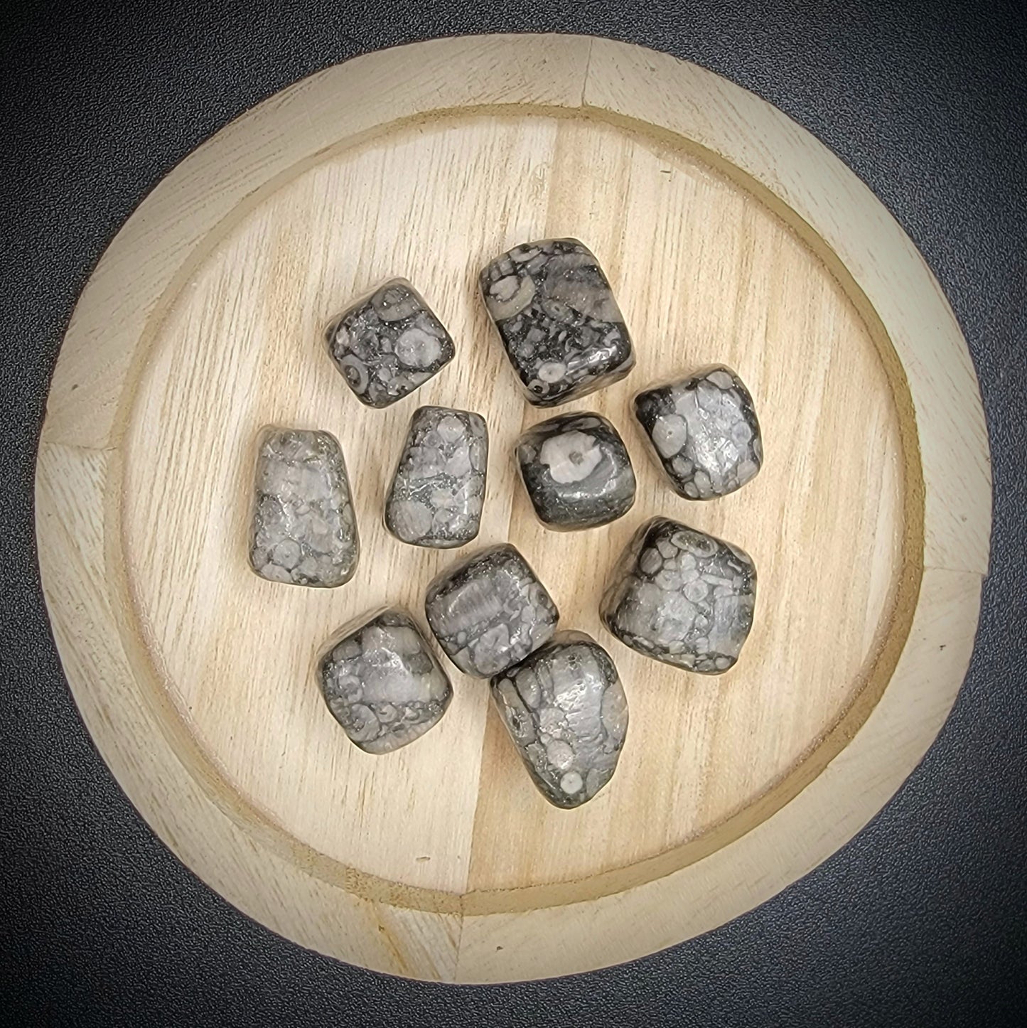 Crinoid Fossil Polished Crystal Gemstone
